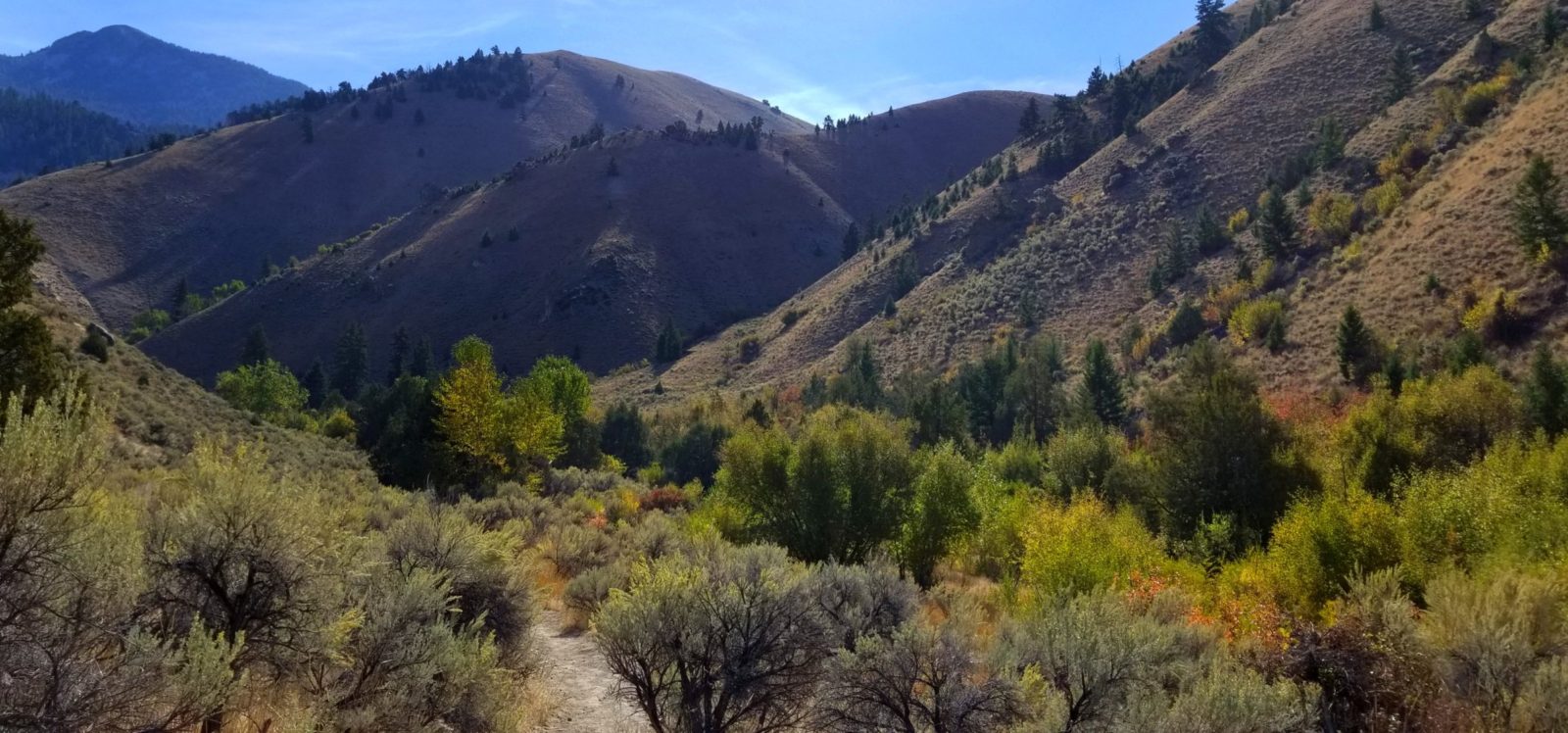 Fall colors popping up along the trail for Goldbug Hot Springs