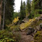 Hiking through beautiful forest to Alice Lake in Idaho