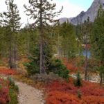 Fall colors as we hike along Alice Lake