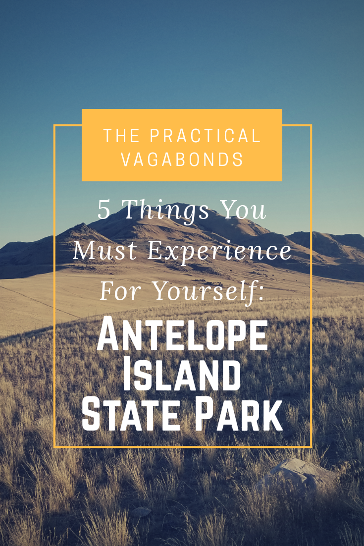 5 Things You Must Experience at Antelope Island State Park