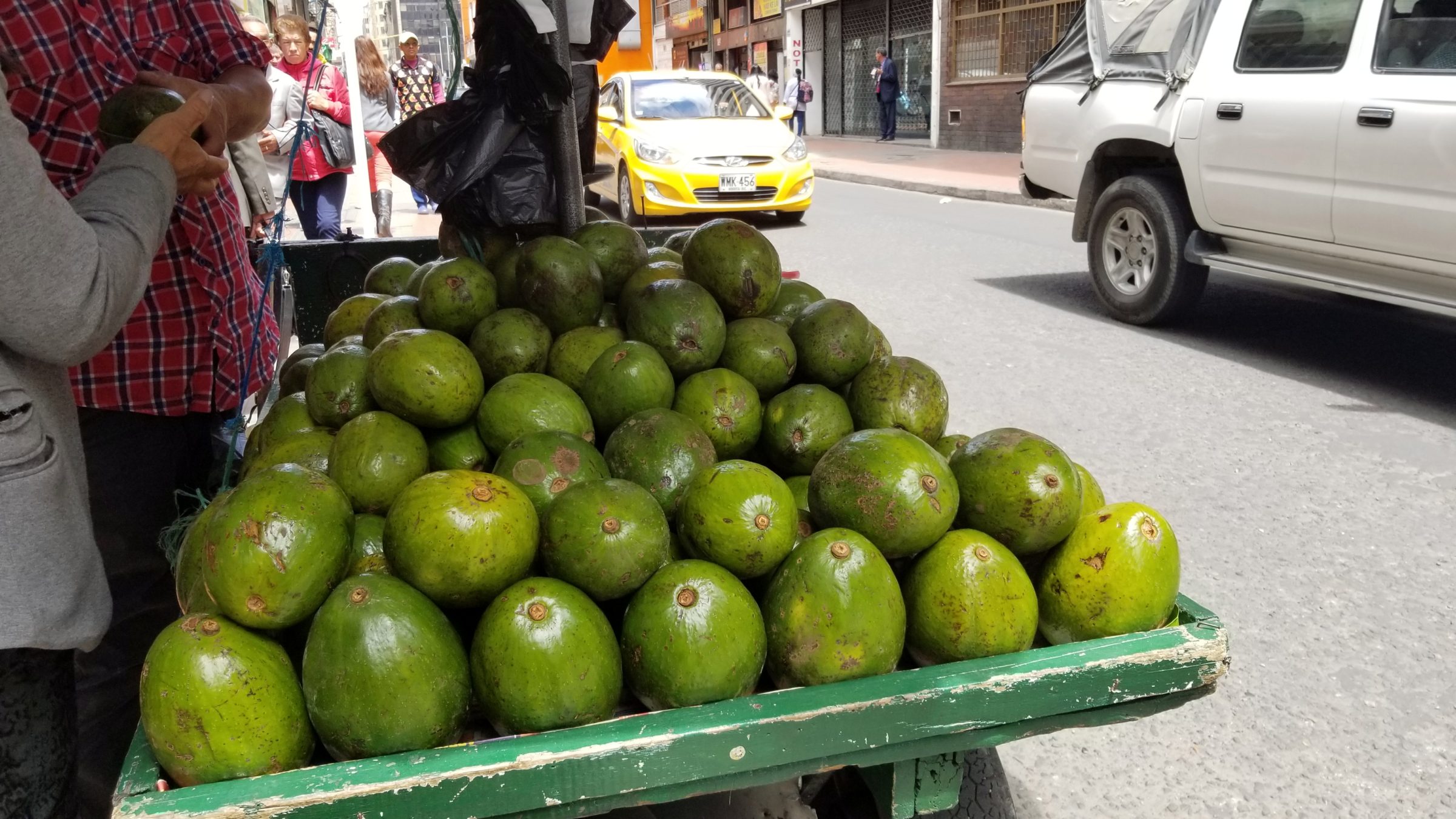 Avocados the size of your stomach!