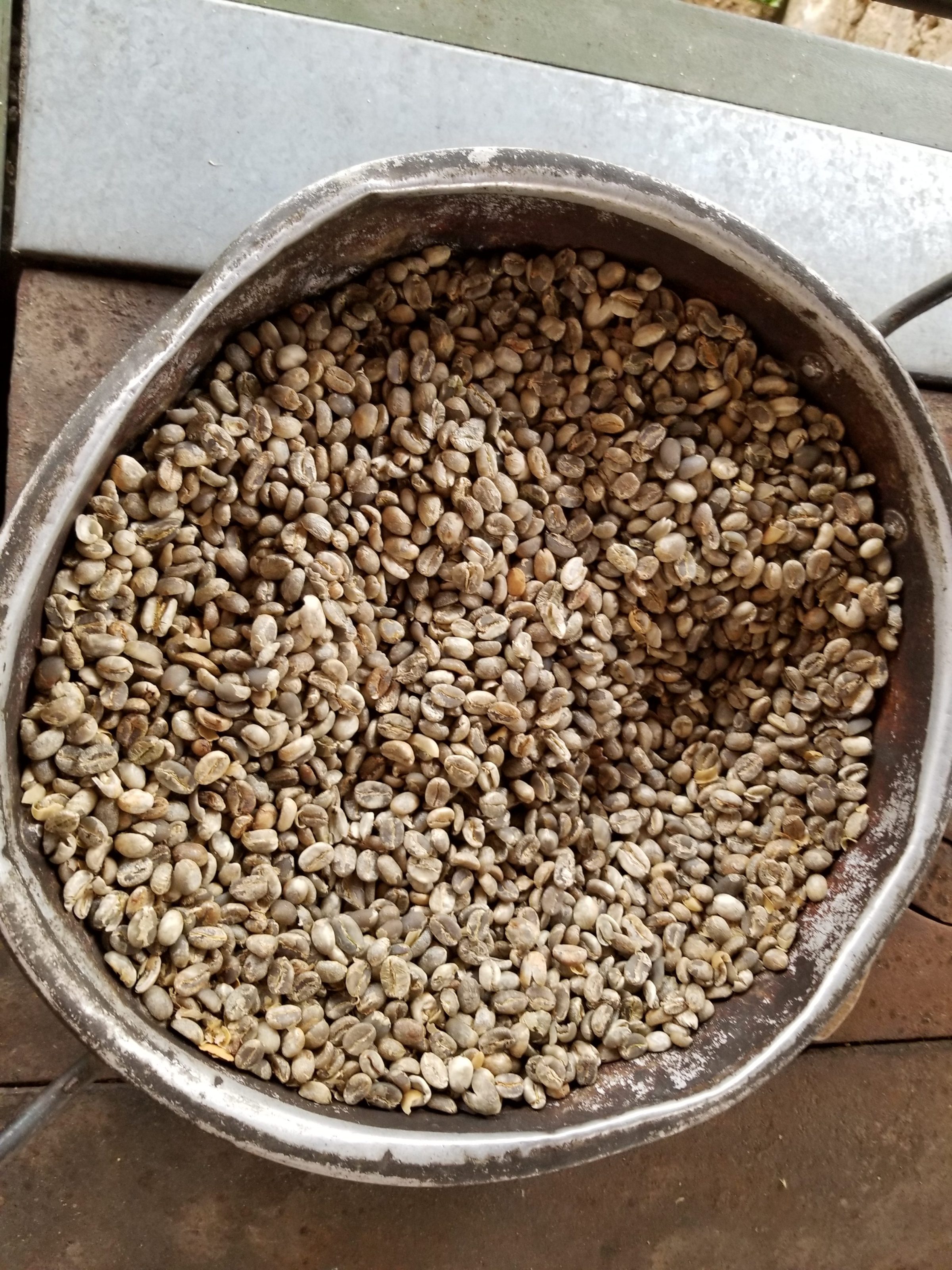 Dried coffee beans