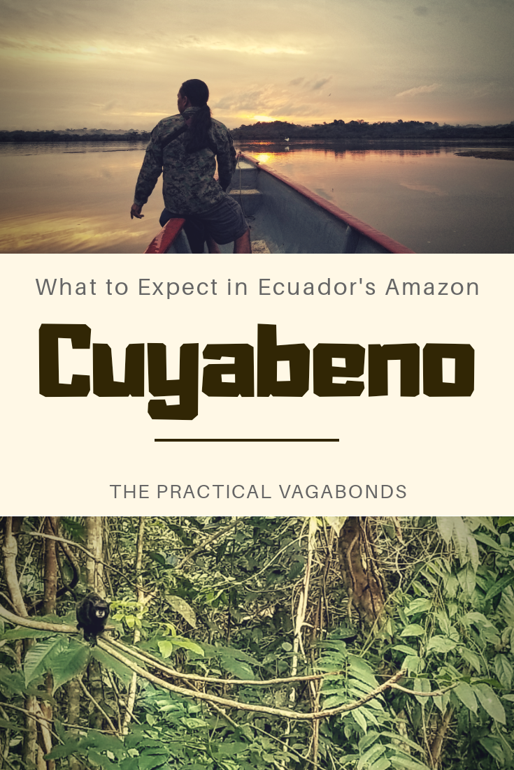 Want to visit Cuyabeno in Ecuador's Amazon? You should! Here is what to expect during your visit. #ecuadoramazon #cuyabeno #ecuadorrainforest