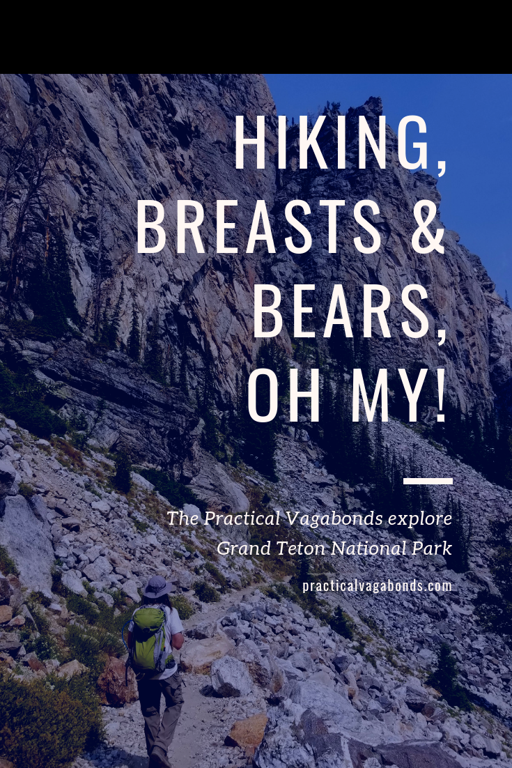 Hiking, breasts, bears and so much more at Grand Teton National Park! #Wyominghiking #Wyomingroadtrip #grandtetonnationalpark #nationalparks