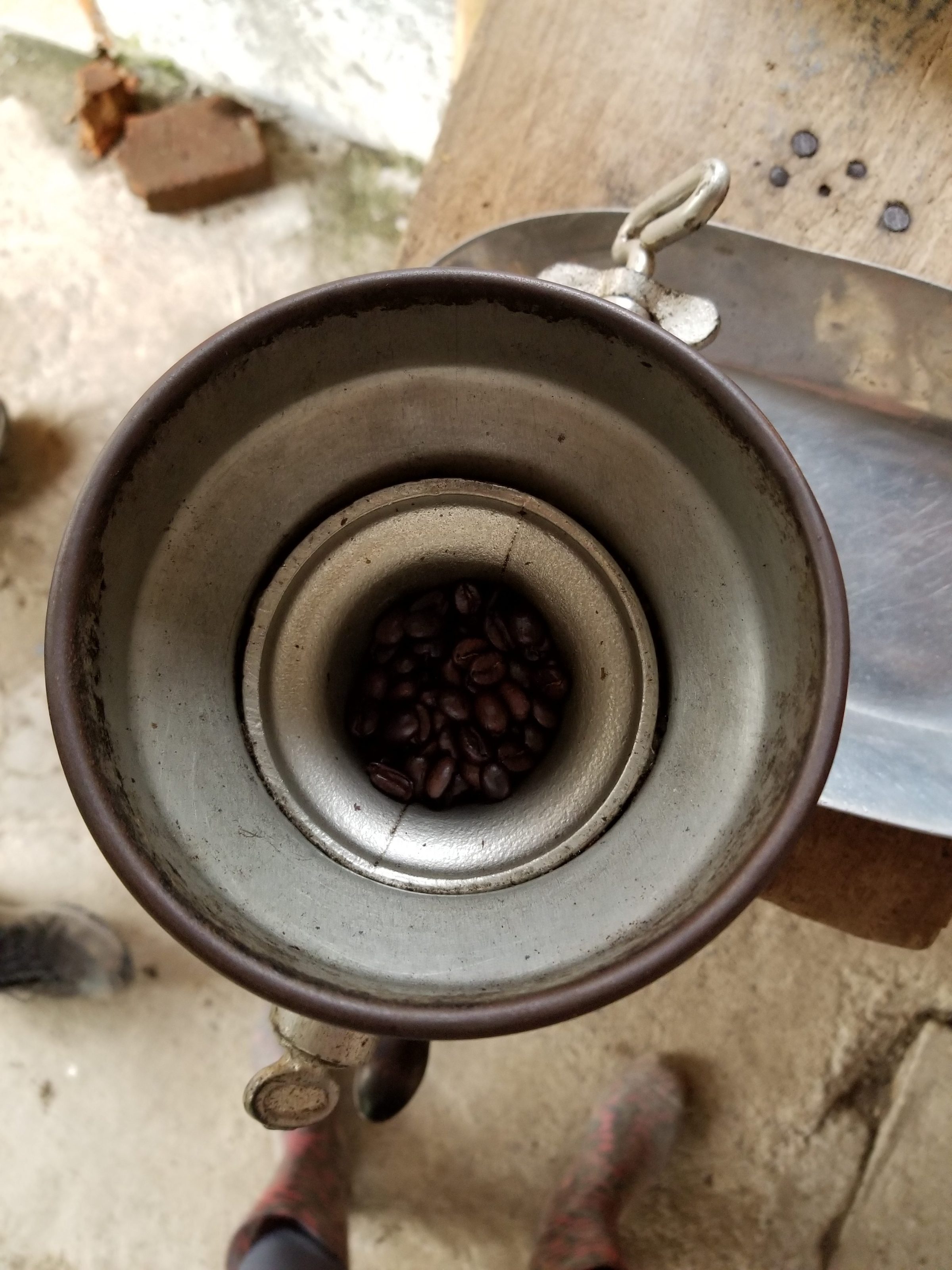 Roasted coffee beans ready for grinding