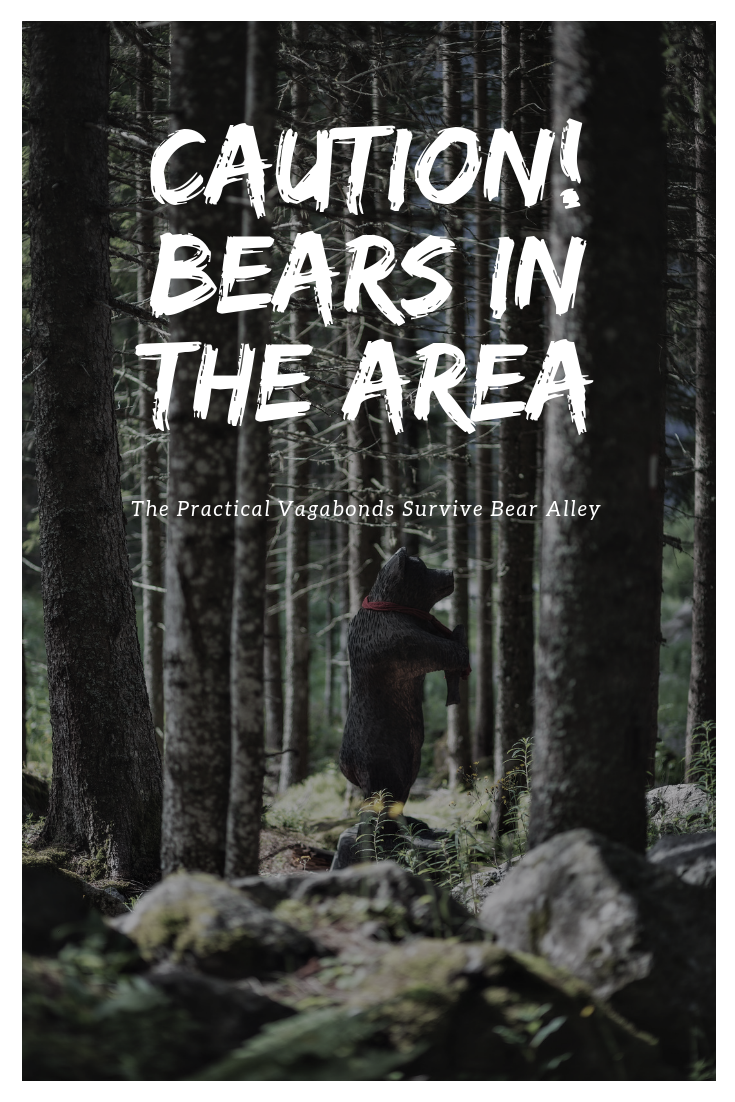 A tale about a close call with bears in Grand Teton National Park. #grandtetonnationalpark #tetons #nationalparks #bears