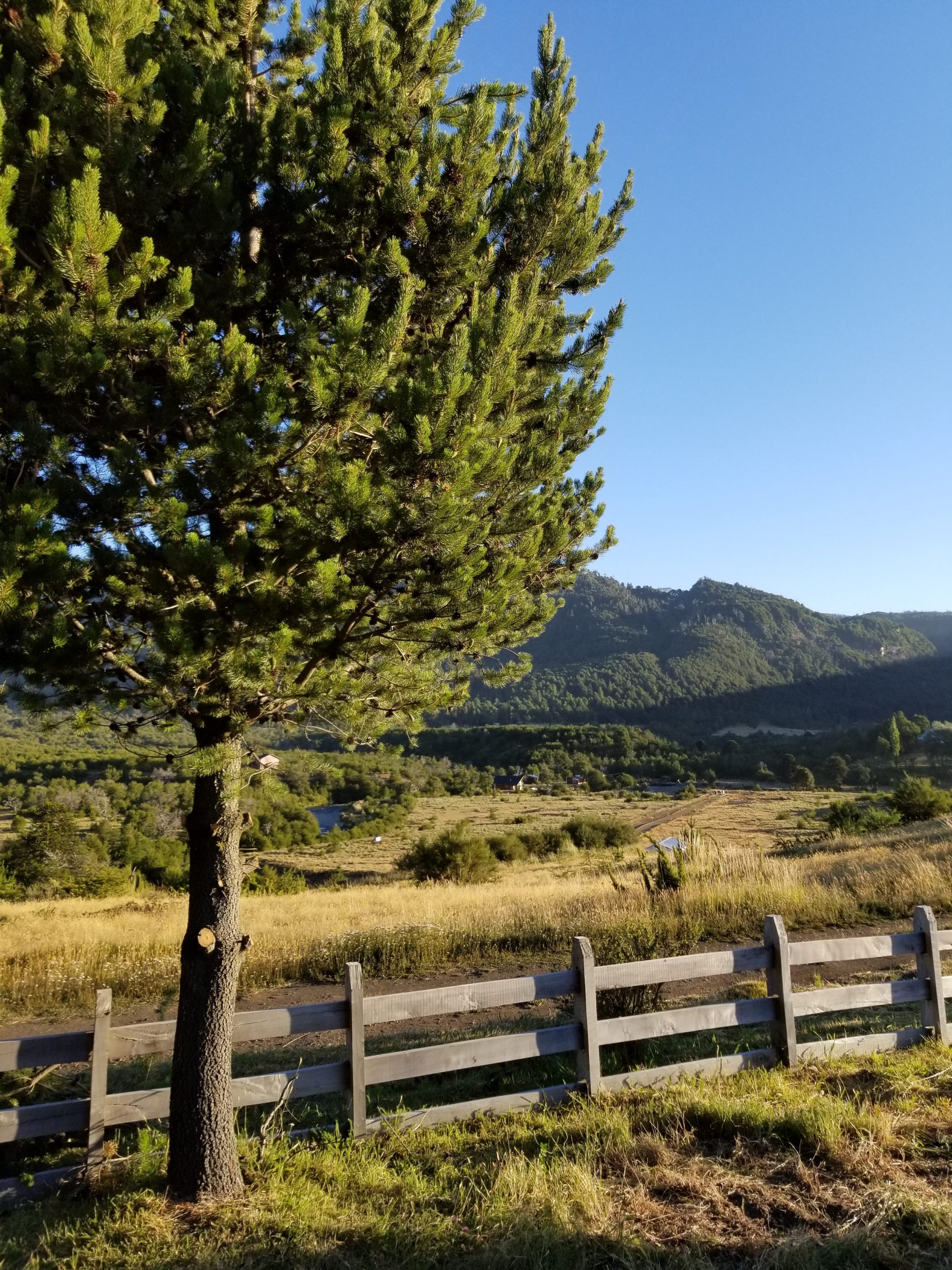 View from our hostel in Malalcahuello