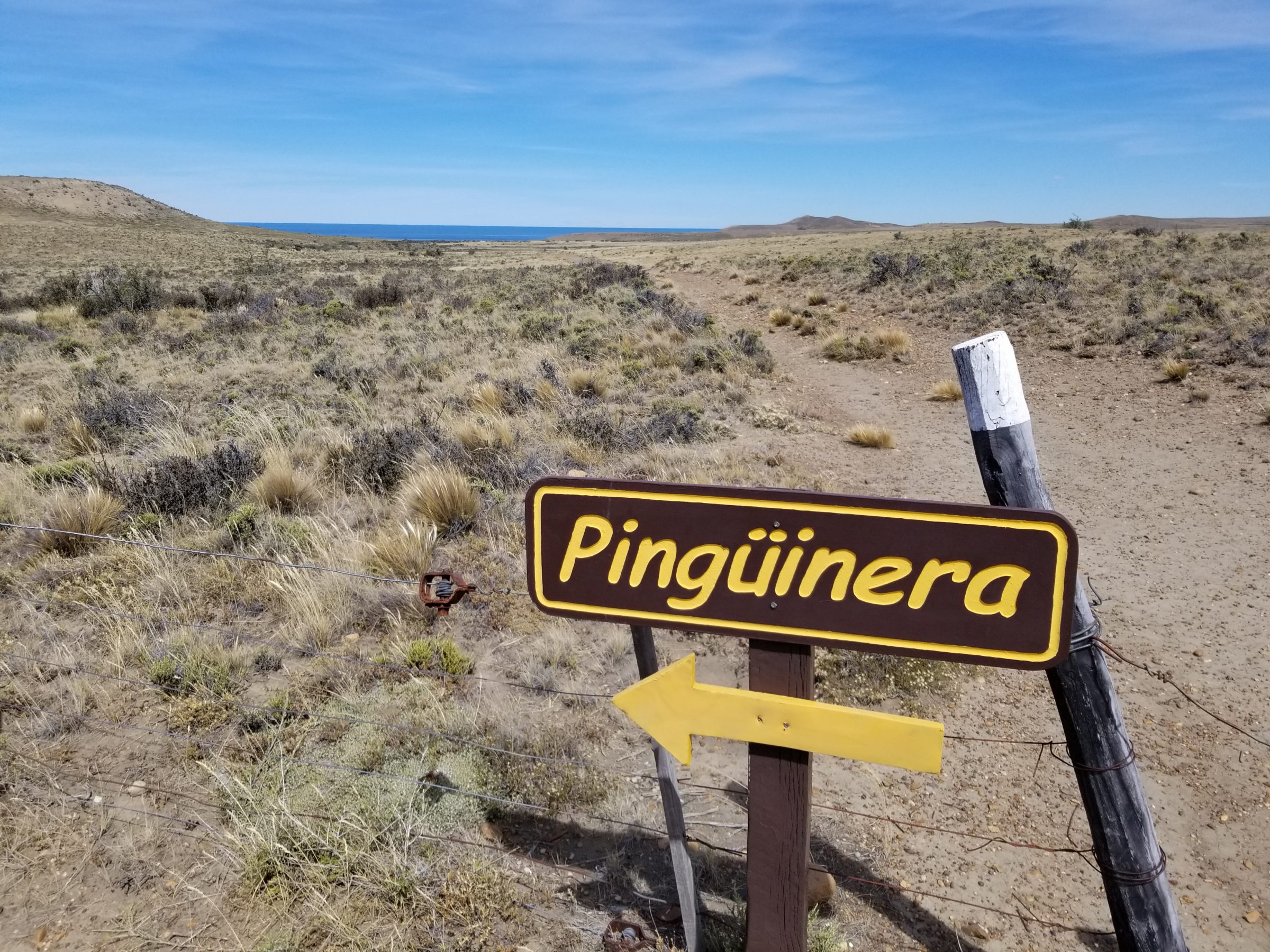 Monte Leon National Park penguin trail