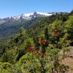Sendero Sierra Nevada hike in Conguillo National Park