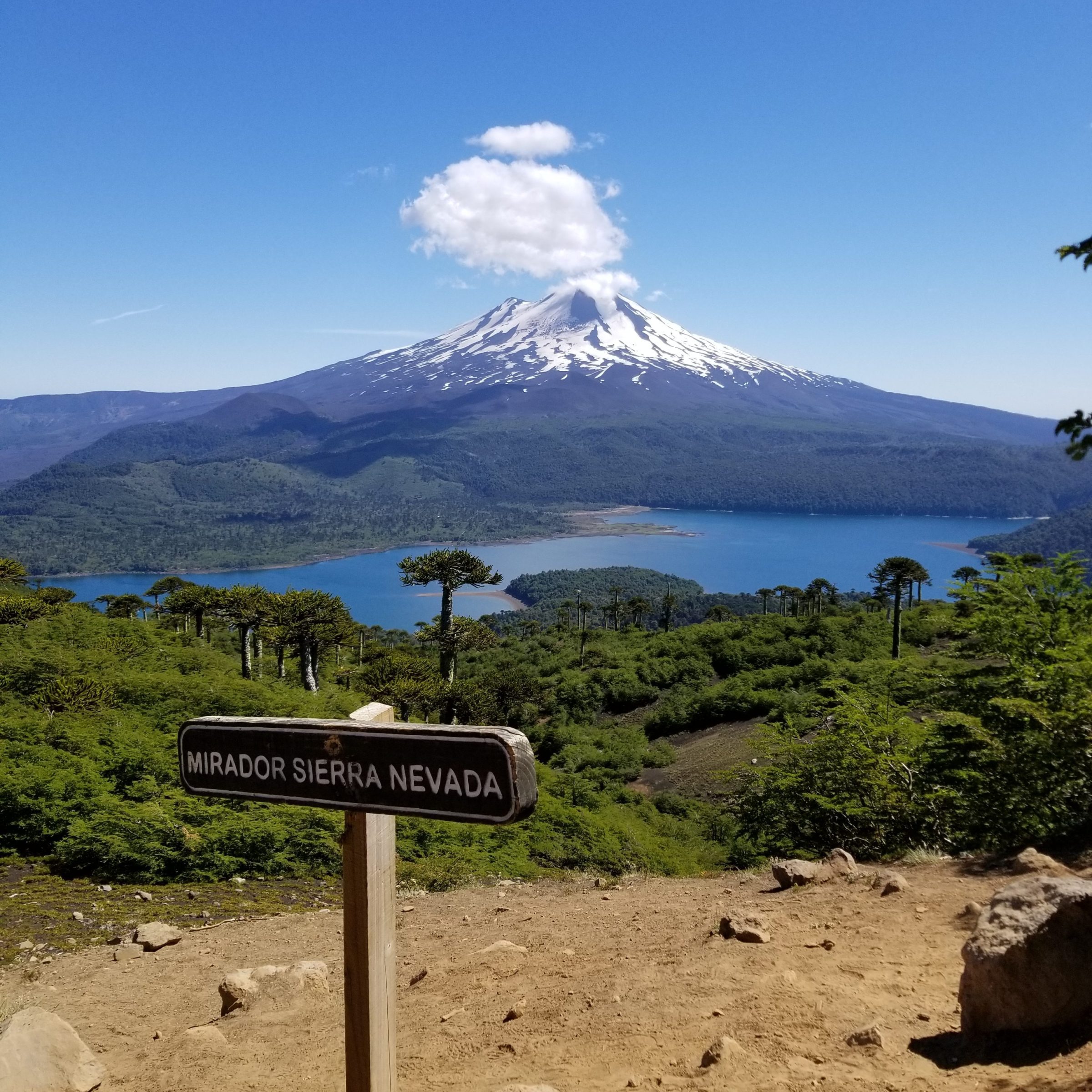Conguillio National Park Chile - Volcano Sierra Nevada