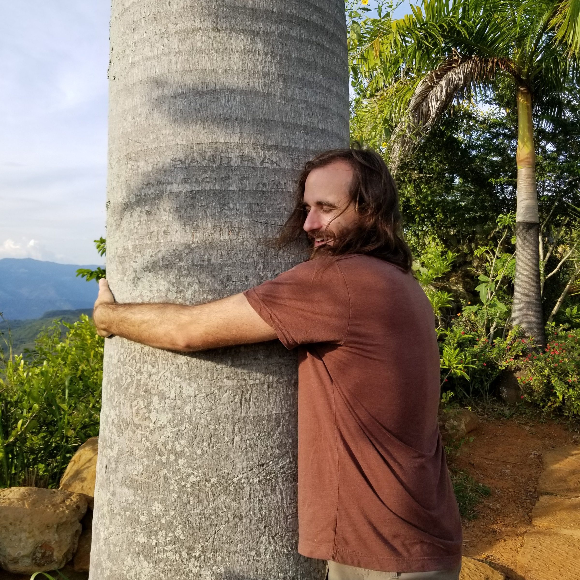 Jimmy Connell, palm tree hugger